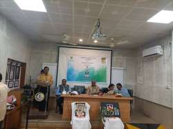 <p>International Mother Language Day</p>

<p>Celebration</p>
