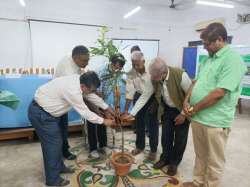 <p>Observance of World Environment Day 2025</p>
