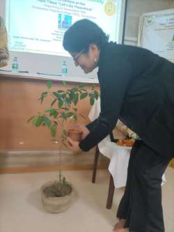 <p>Let's Go Theoretical by Prof. Nandini Sahu</p>
