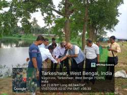<p>Van Mahotsav 2025</p>
