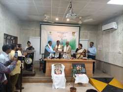 <p>International Mother Language Day</p>

<p>Celebration</p>
