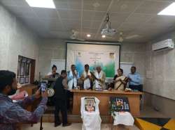 <p>International Mother Language Day</p>

<p>Celebration</p>
